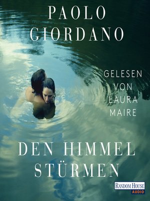 cover image of Den Himmel stürmen